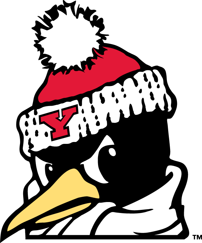 Youngstown State Penguins 1993-Pres Alternate Logo v6 iron on transfers for T-shirts